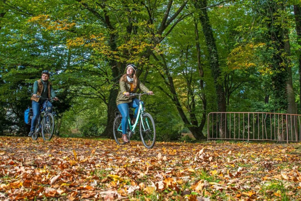 Couple cycling over a leaf-covered ground in the forest