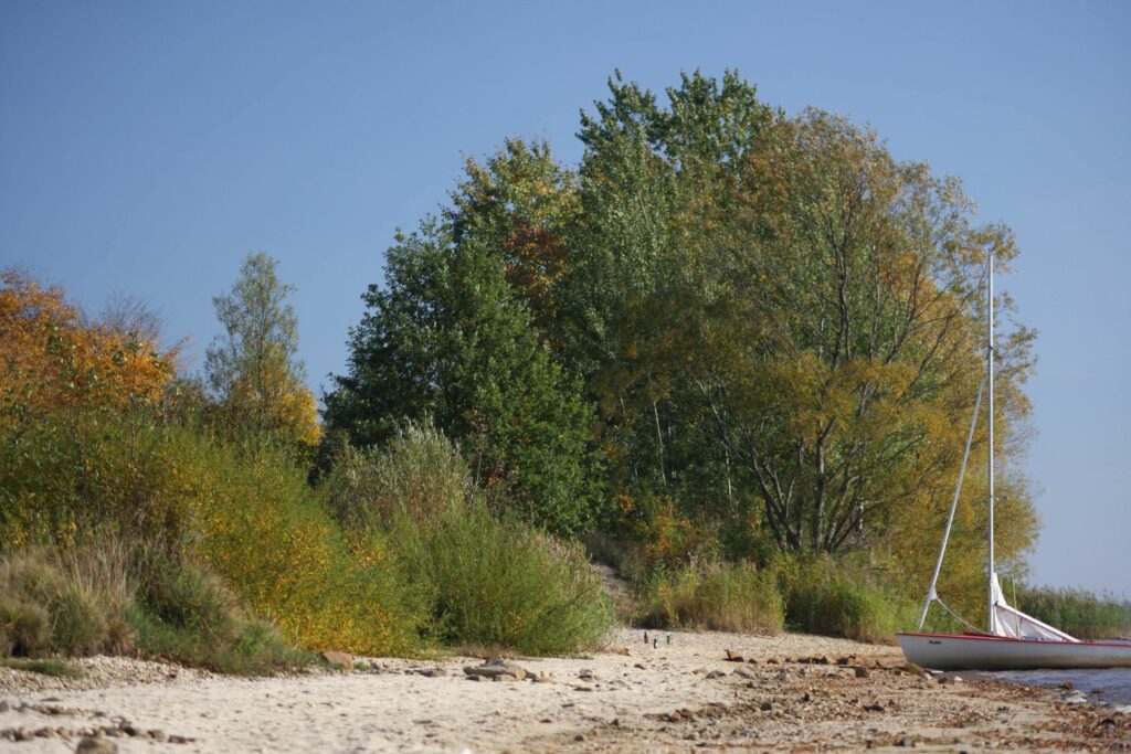 A sailing boat lies on the shore of a lake in the Lusatian Lakeland, with autumnal shoreline vegetation behind.