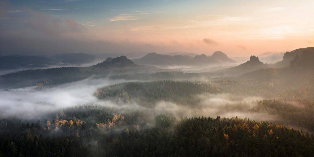 Der Nationalpark Sächsische Schweiz von einem Ausblickspunkt, über den Baumwipfeln hängt dichter Nebel