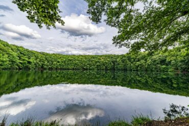 Ein Waldsee im Biosphärenreservat Rhön