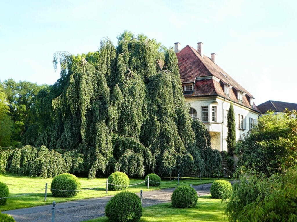 Outside view of the Hofgut Holzmühle in the Southern Palatinate