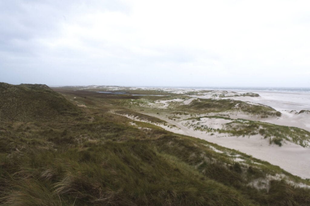 Panorama von Dünen und Strand auf Amrum