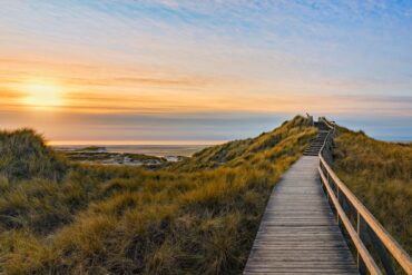 Ein Holzsteg führt vom Betrachter weg durch eine dicht bewachsene, grüne Dünenlandschaft, mit sanft geschwungenen Kuppen. Etwa mittig im Bild wird teilweise das Meer mit Horizont sichtbar, links oben im Bild scheint ein goldener Sonnenuntergang durch eine dünne Wolkendecke und taucht alles in eine sanftes Licht.