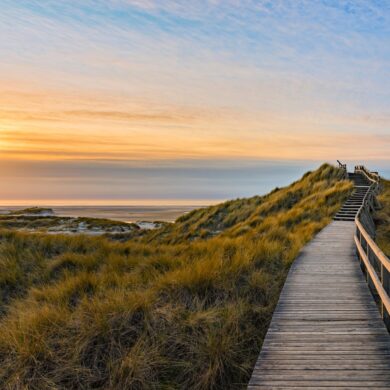 Ein Holzsteg führt vom Betrachter weg durch eine dicht bewachsene, grüne Dünenlandschaft, mit sanft geschwungenen Kuppen. Etwa mittig im Bild wird teilweise das Meer mit Horizont sichtbar, links oben im Bild scheint ein goldener Sonnenuntergang durch eine dünne Wolkendecke und taucht alles in eine sanftes Licht.