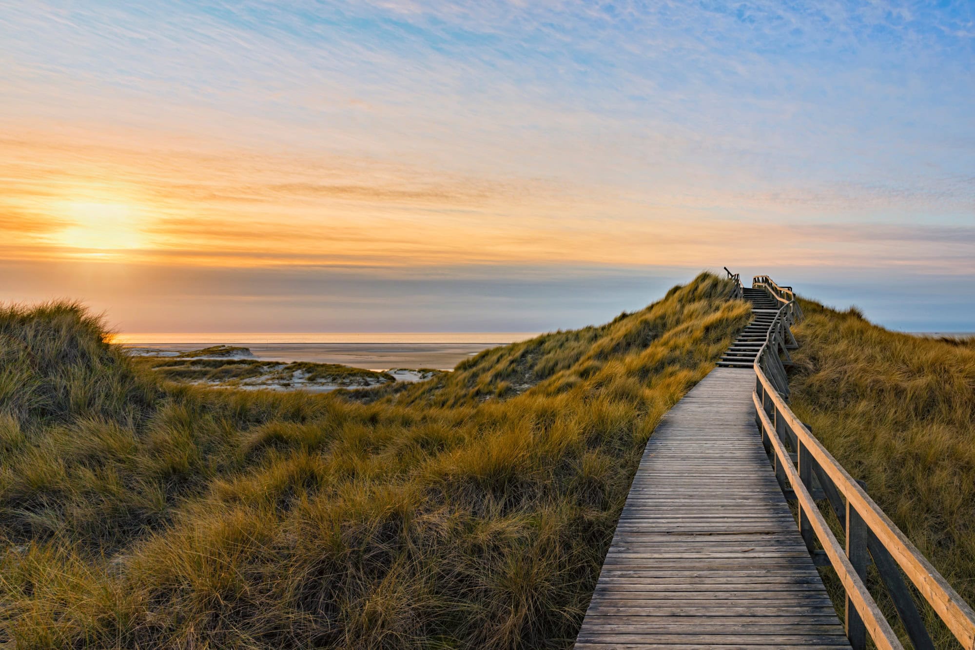 Ein Holzsteg führt vom Betrachter weg durch eine dicht bewachsene, grüne Dünenlandschaft, mit sanft geschwungenen Kuppen. Etwa mittig im Bild wird teilweise das Meer mit Horizont sichtbar, links oben im Bild scheint ein goldener Sonnenuntergang durch eine dünne Wolkendecke und taucht alles in eine sanftes Licht.