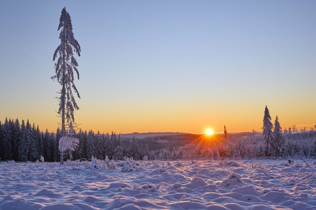 Sonnenuntergang über einem schneebedeckten Wald