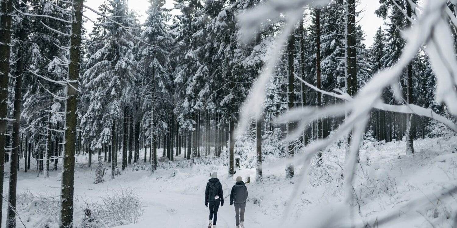 Zwei Personen wandern den Rothaarsteig im Sauerland im Winter