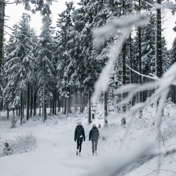 Zwei Personen wandern den Rothaarsteig im Sauerland im Winter