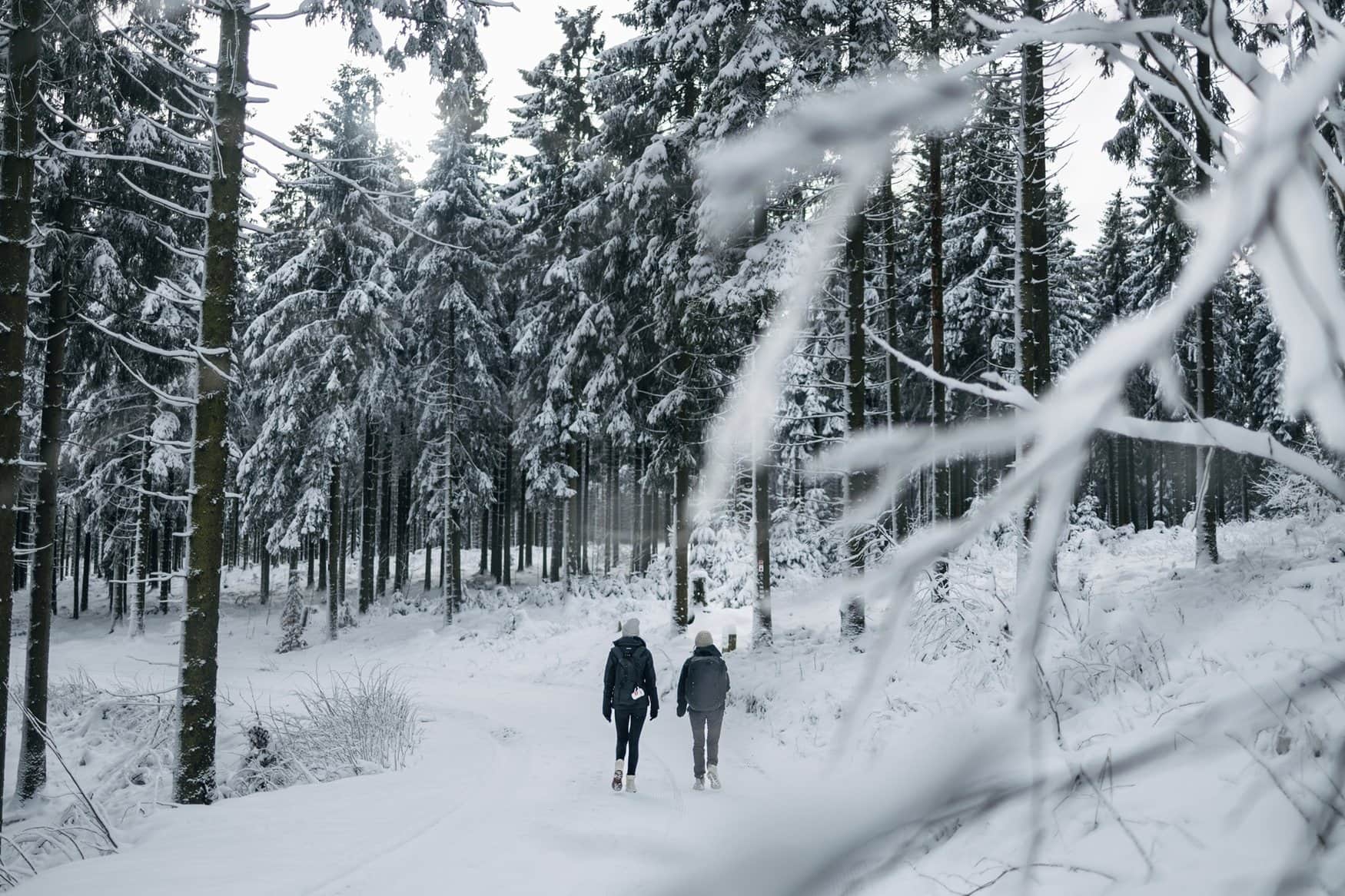 Zwei Personen wandern den Rothaarsteig im Sauerland im Winter