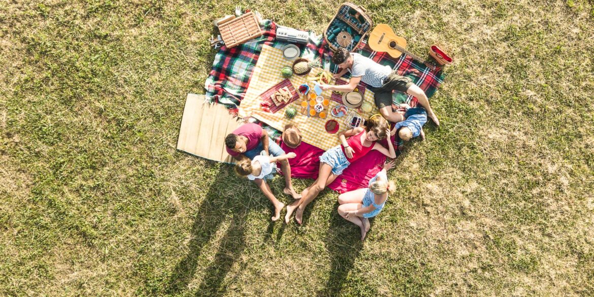 Vogelperspektive auf eine veganes Picknick im Frühling
