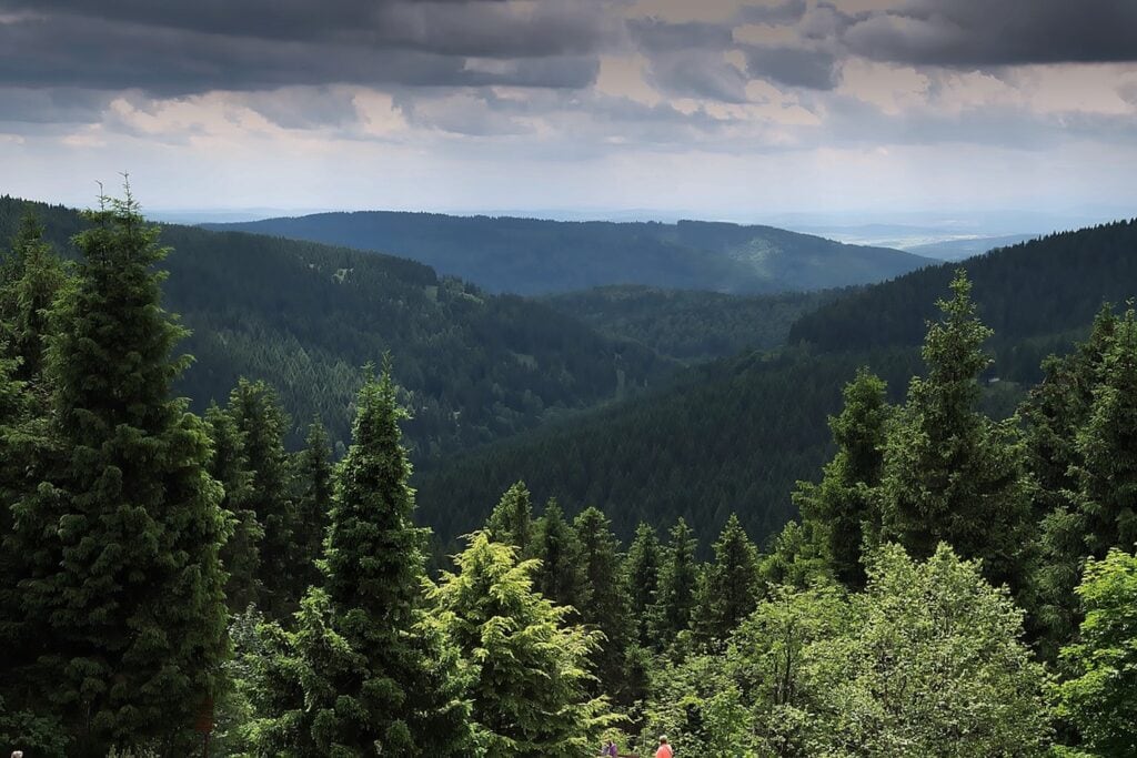 Weitläufiger Blick auf ein bewaldetes Mittelgebirge