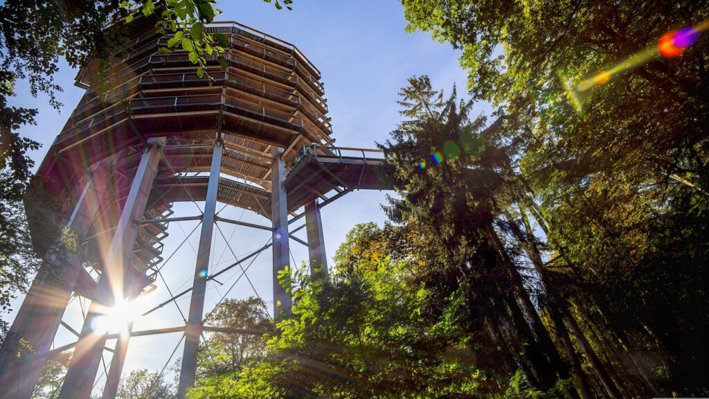 Ein Aussichtsturm, von unten aufgenommen; um mehrere Stahlträger wickelt sich in etwa 20 Meter Höhe ein hölzerner Steg um weitere 20 Meter in die Höhe. Der Steg ist über einen Zugang von der rechten Seite erreichbar. Rechts im Bild einige Bäume im Vordergrund. Durch die Stahlträger scheint helles Sonnenlicht