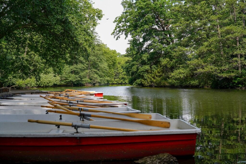 Ruderboote liegen nebeneinander an einem Seeufer im Wald