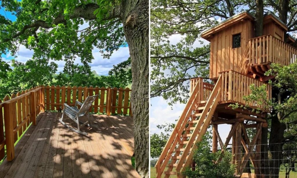 A tree house hotel in the Uckermark, a very popular glamping destination