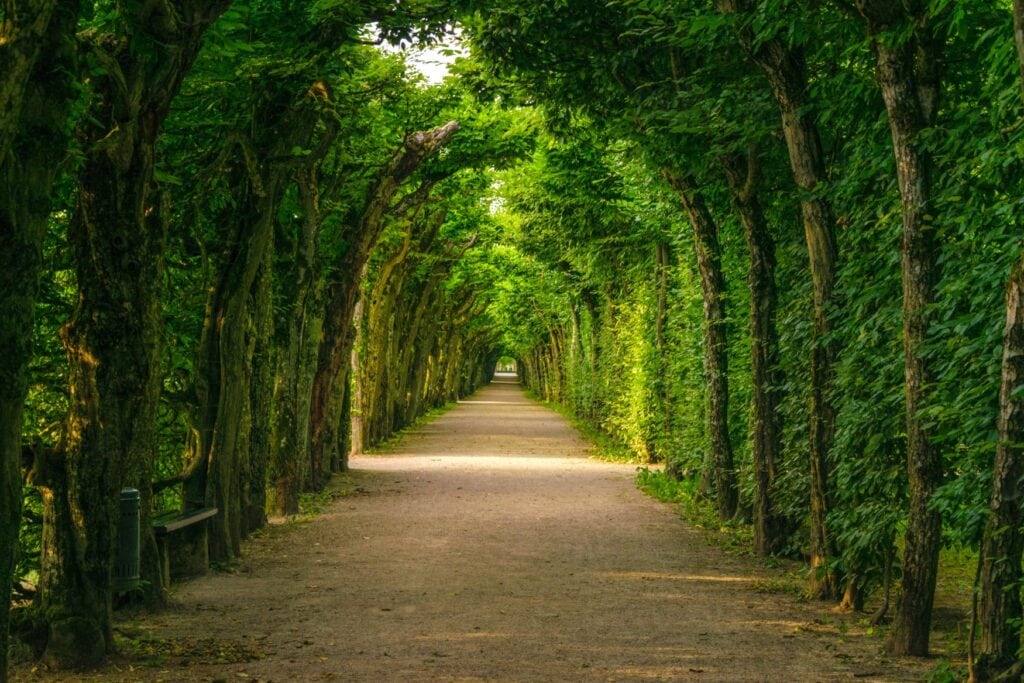 Eine Allee in der Eremitage in Bayreuth