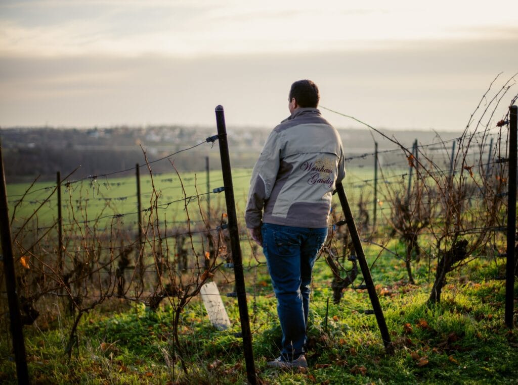 Jungwinzer Patrick Gaudig steht auf seinem Weinberg zwischen den Rebstöcken