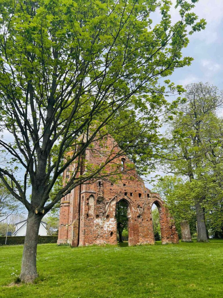 The Eldena monastery ruins in Greifswald