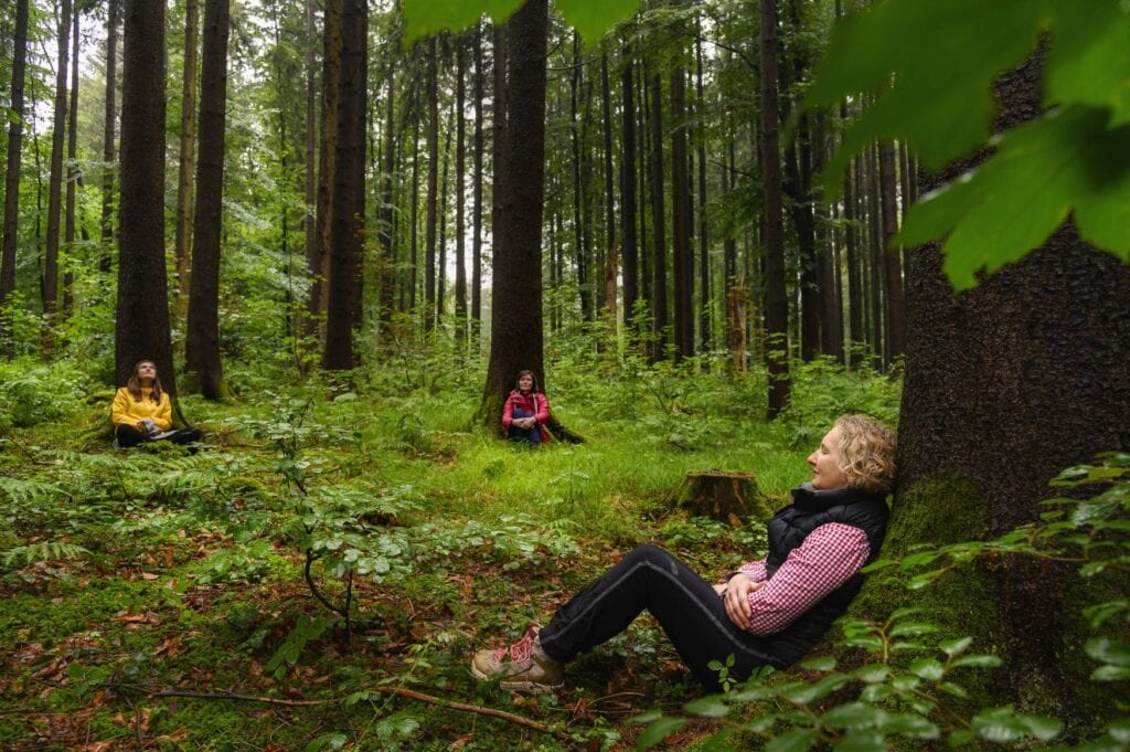 Drei Menschen ruhen unter Bäumen in einem dicht bewachsenen Wald