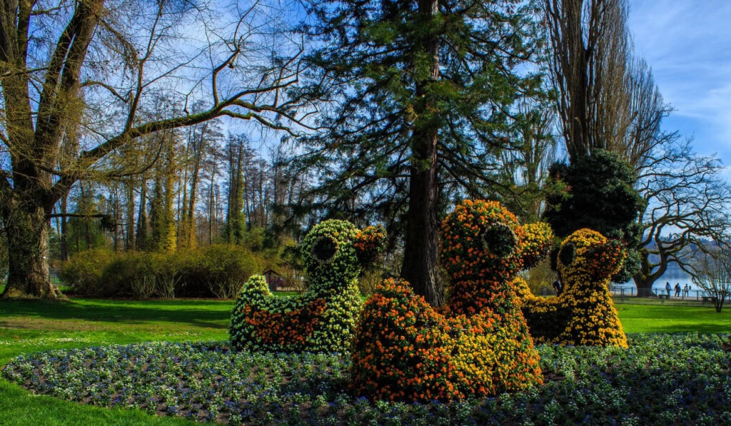 Drei Blumensträuche, die kunstvoll in die Form von Quietscheentchen kultiviert wurden