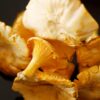 Close-up of several chanterelle mushrooms against a black background