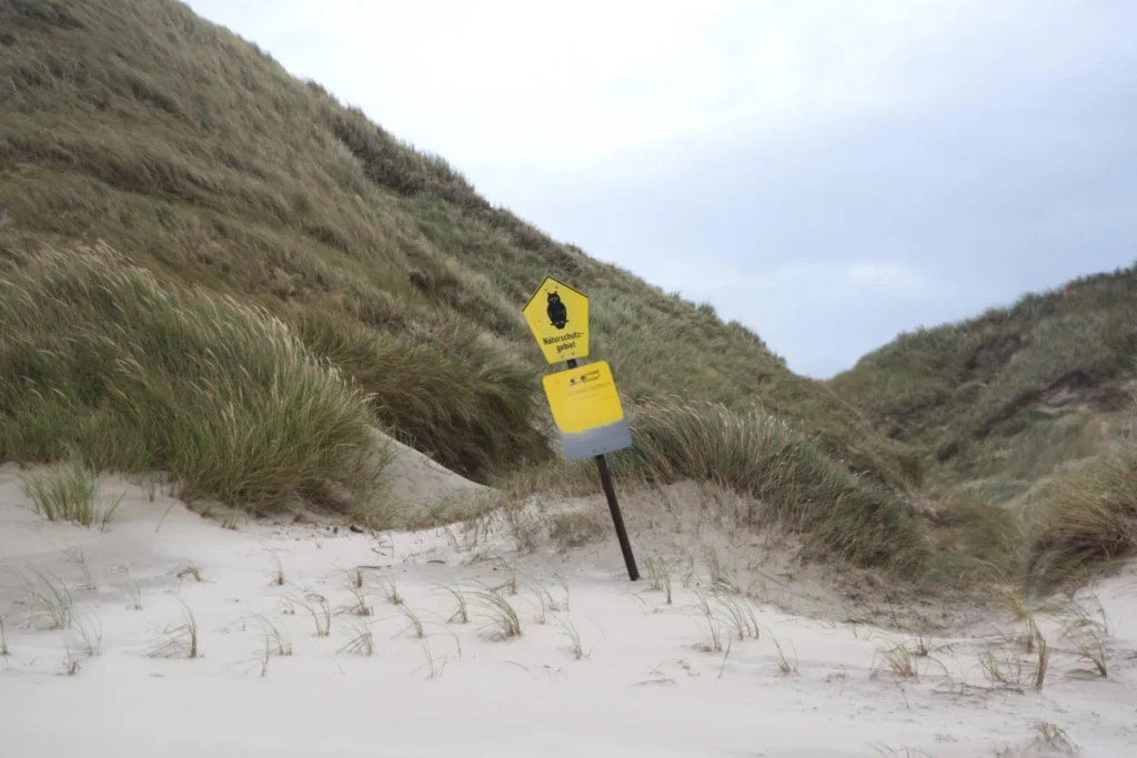 A nature reserve sign in front of the dune ridge