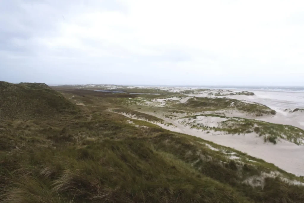 Panorama of dunes and beach on Amrum