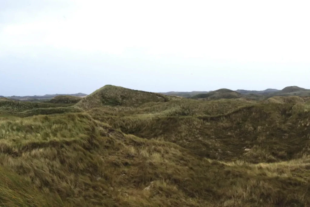 Panoramic view of the extensive, green dune landscape on Amrum