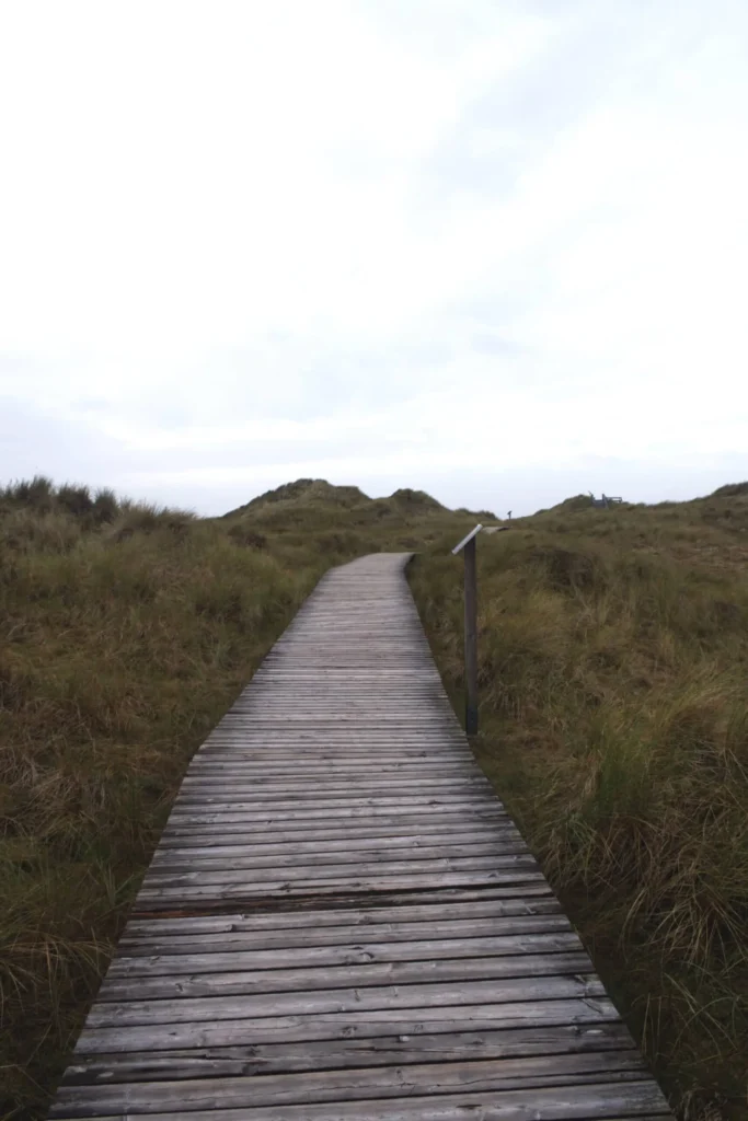 A wooden walkway leads through the green dunes.