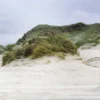 Panoramic view of the extensive, green dune landscape on Amrum