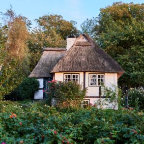 Ein reetgedecktes Fachwerkhaus in Sieseby an der Schlei