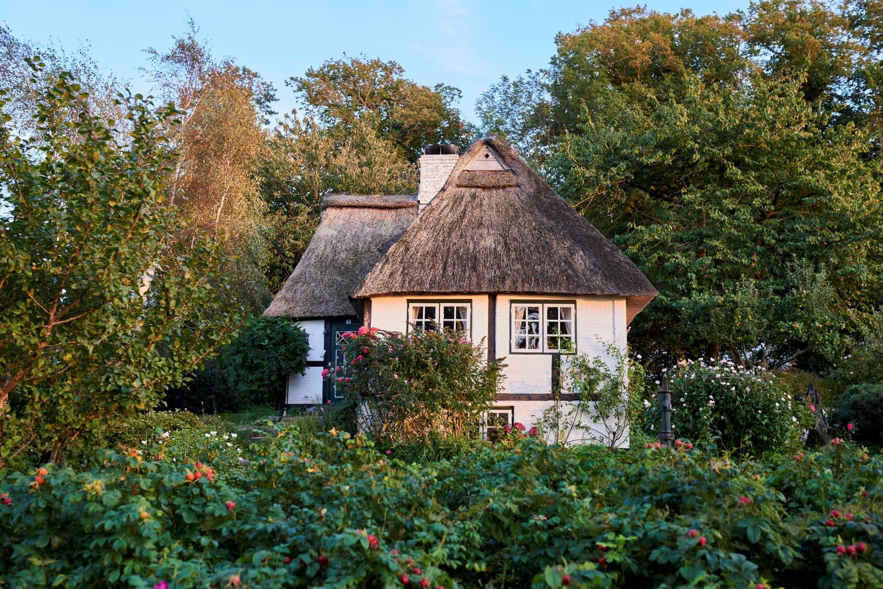 Ein reetgedecktes Fachwerkhaus in Sieseby an der Schlei