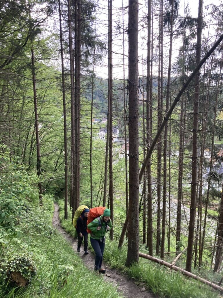 Zwei Menschen in Wanderkleidung laufen durch einen verregneten Wald im Ahrtal