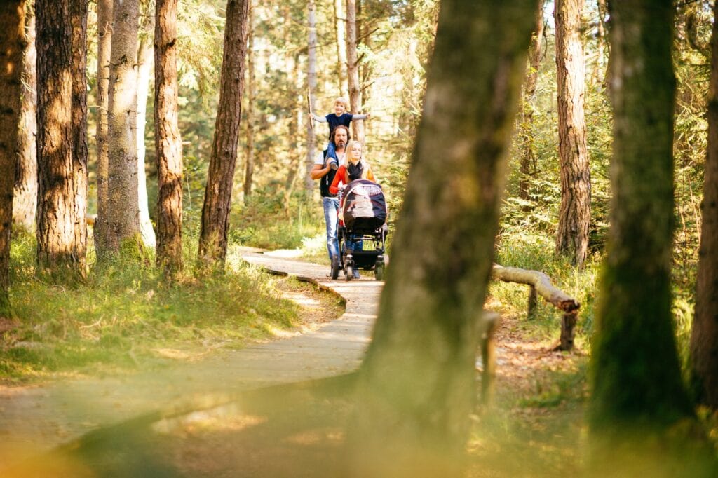 Ein Paar mit Kind und Kinderwagen wandert durch einen Wald im Chiemsee-Alpenland im Herbst