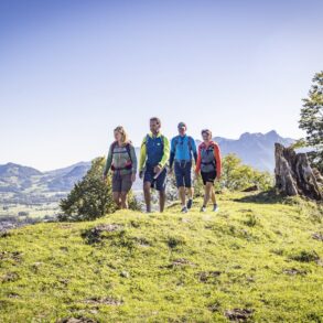 Vier Menschen wandern über eine grüne Hochwiese, im Hintergrund ein Alpenkamm