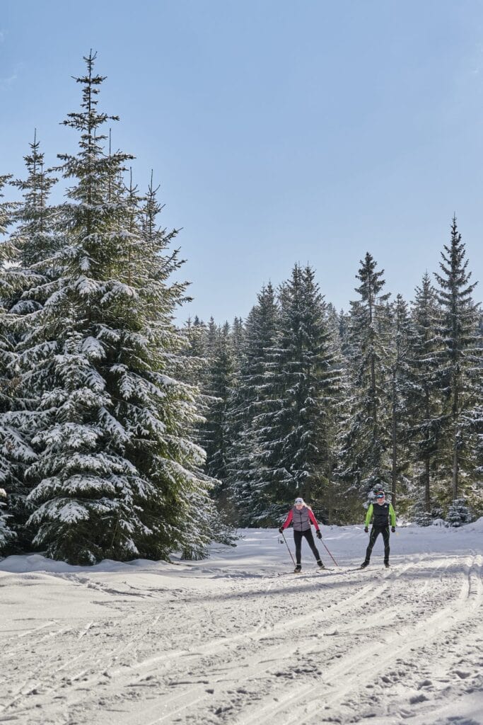 Zwei Sportler beim Langlauf im winterlichen Fichtelgebirge