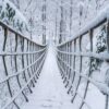 Eine lange Hängebrücke führt vom Betrachter über eine kleine Schlucht in einem dichten Nadelwald. Alles ist dick verschneit.