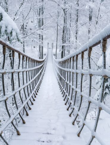 Eine lange Hängebrücke führt vom Betrachter über eine kleine Schlucht in einem dichten Nadelwald. Alles ist dick verschneit.