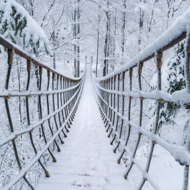 Eine lange Hängebrücke führt vom Betrachter über eine kleine Schlucht in einem dichten Nadelwald. Alles ist dick verschneit.