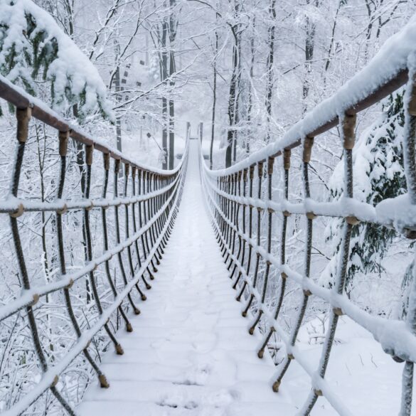 Eine lange Hängebrücke führt vom Betrachter über eine kleine Schlucht in einem dichten Nadelwald. Alles ist dick verschneit.