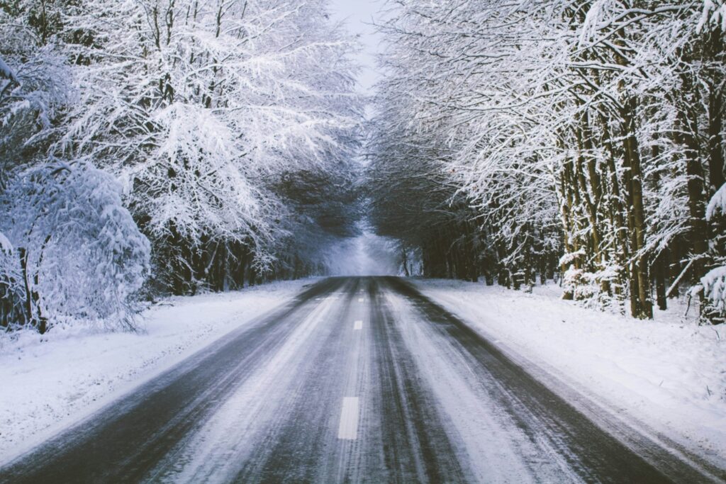 A snow-covered road leads into a forest.