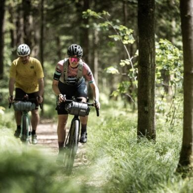 Two cyclists ride through a forest in the Wesenitztal in Saxony.