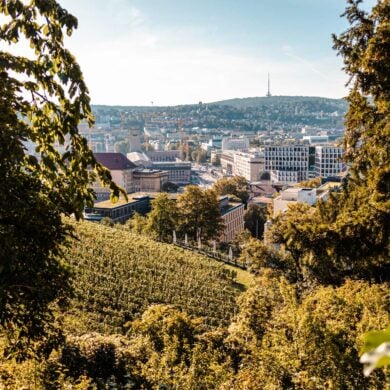 Blick auf Stuttgart vom begrünten Panoramaweg aus