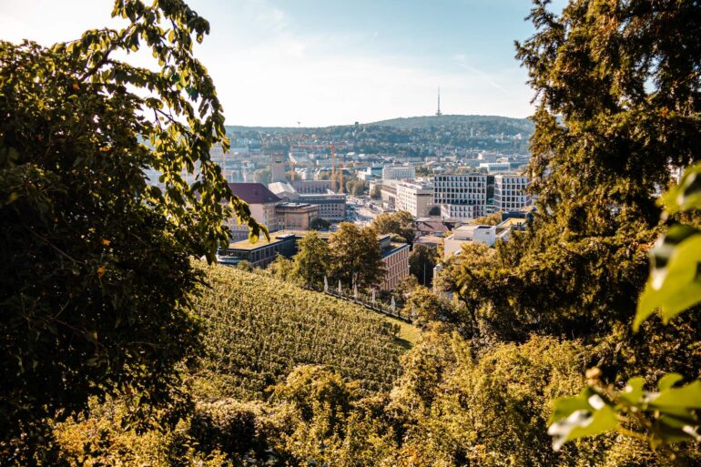 Blick auf Stuttgart vom begrünten Panoramaweg aus