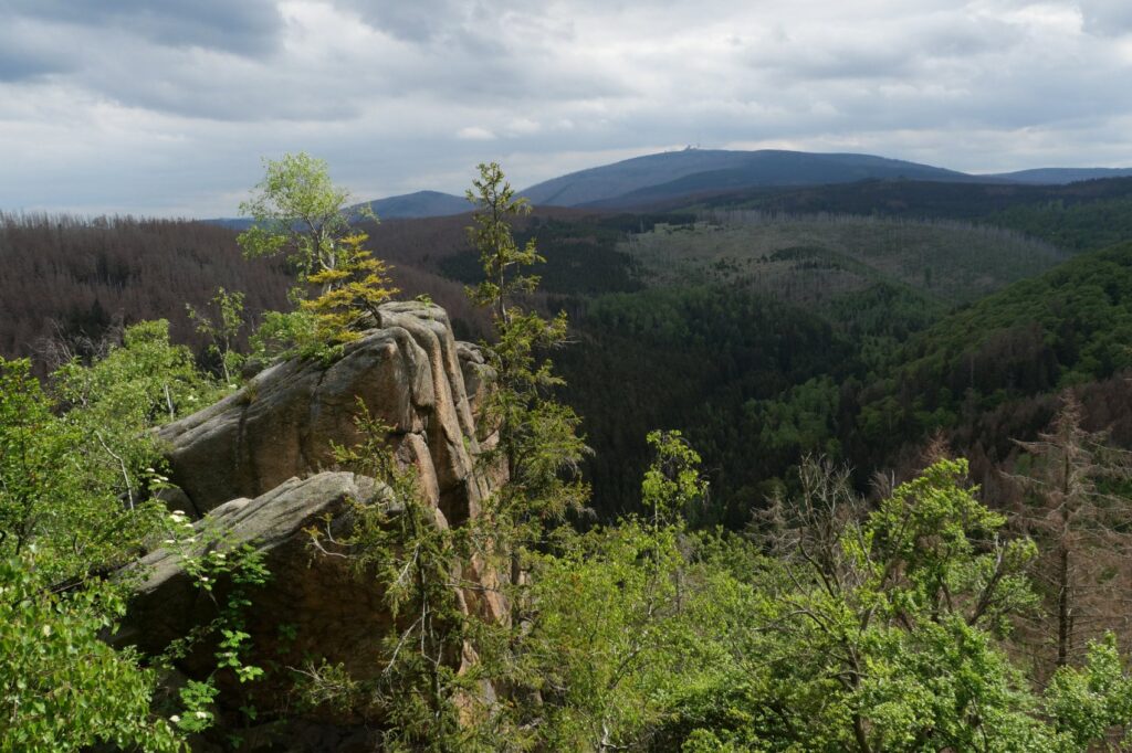 View of the Brocken in the Harz Mountains