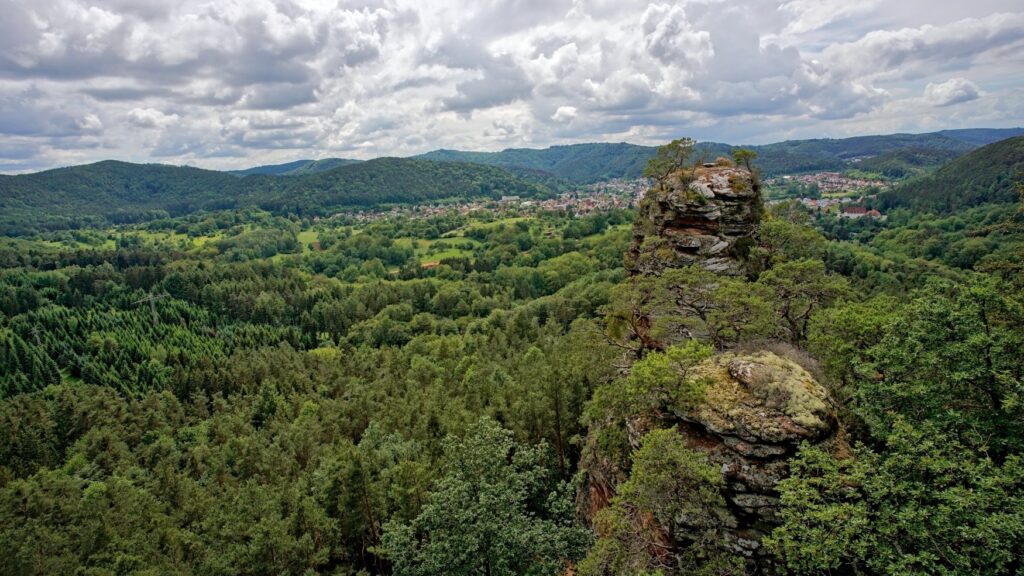 Ausblick auf den Pfälzerwald vom Rauberg, ein idealer Spot zum Waldbaden in Deutschland