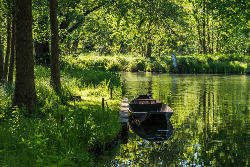 Ein kleines Boot liegt auf einem Seitenarm der Spree mitten im Spreewald