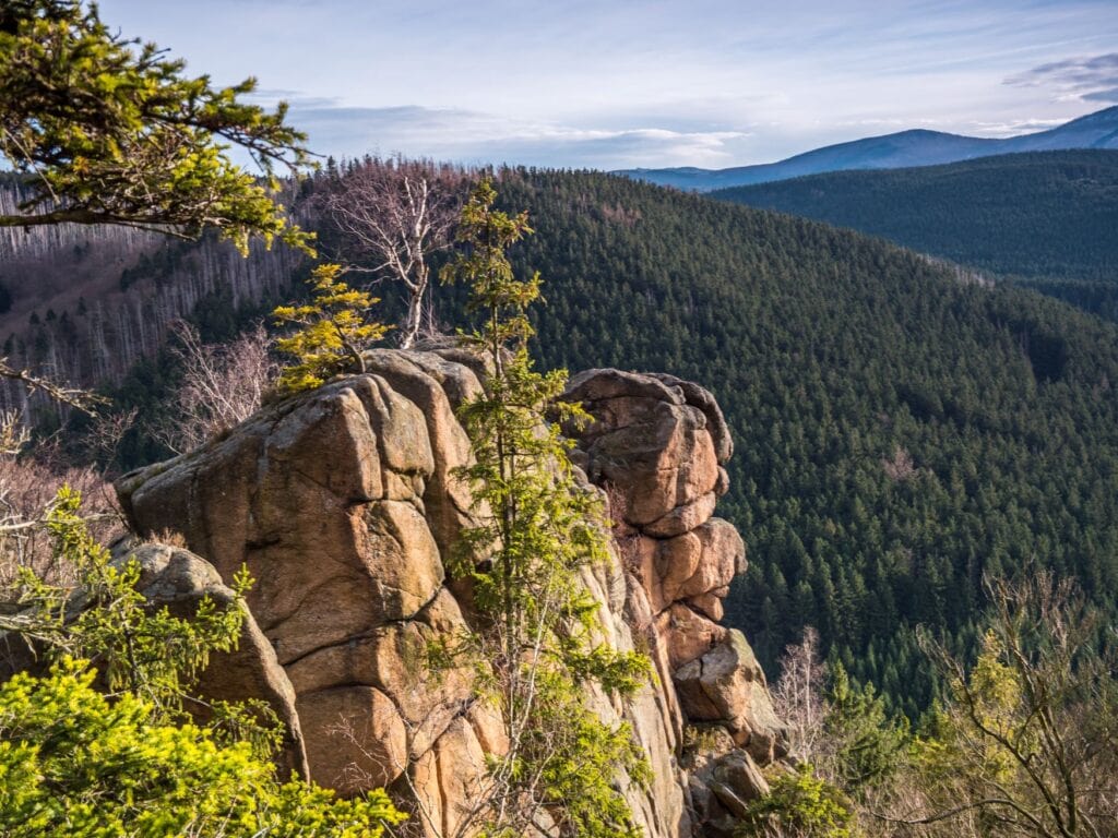 Ein Felsvorsprung in einem Wald im Harz, einem Topspot zum Waldbaden in Deutschland