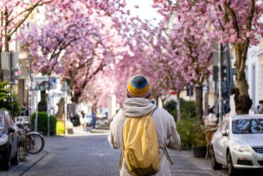 Eine Person mit gelbem Rucksack und gelber Mütze steht mit dem Rücken zur Kamera in einer Fußgängerzone und blickt auf die hell blühenden Kirschbäume im Hintergrund.