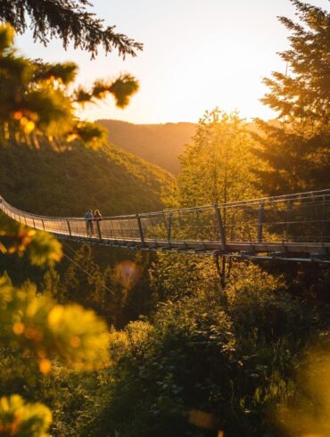 Die Geierlay-Brücke im Sonnenuntergang