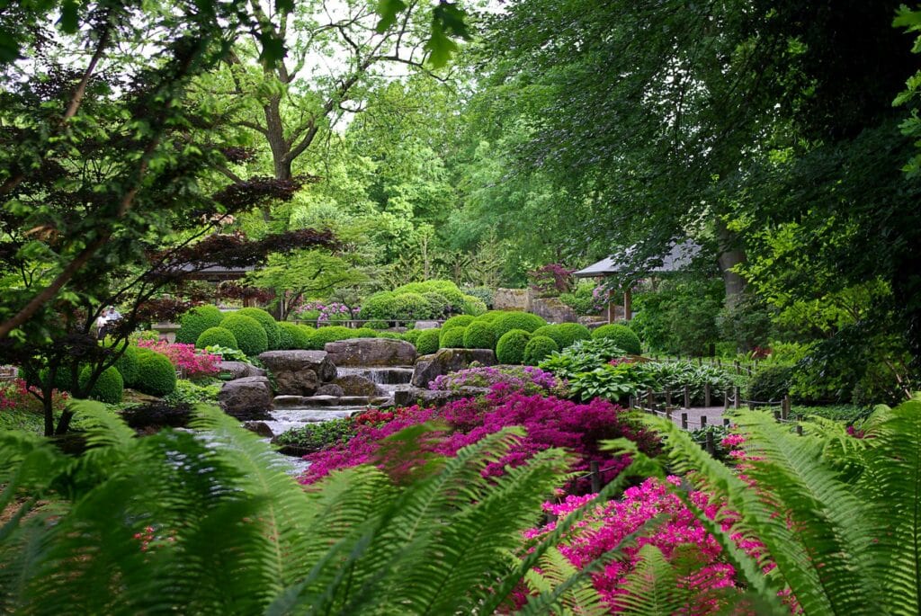Blühende Vielfalt im Japangarten des Botanischen Gartens Augsburg